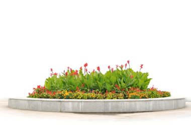 The flower-bed with red and yellow flowers clipart