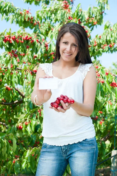 Красивая молодая девушка собирает вишни — стоковое фото