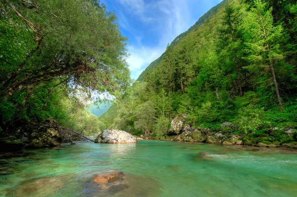 Clear Alpine river Soca in Slovenian Alps — Stock Photo, Image