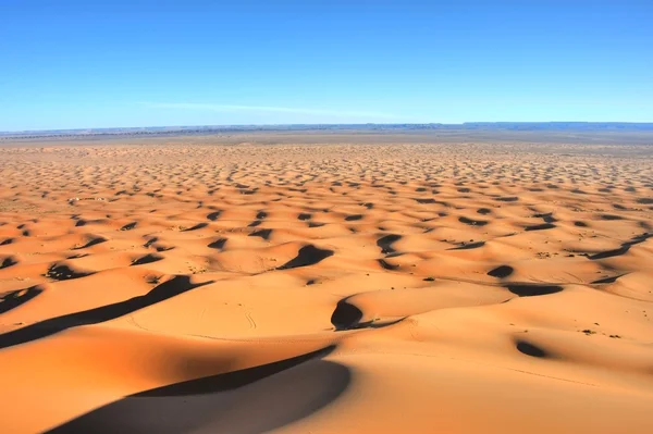 Písečné duny v poušti sahara při západu slunce — Stock fotografie