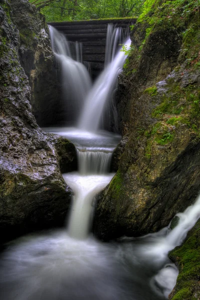 Водопад в маленьком ручье — стоковое фото