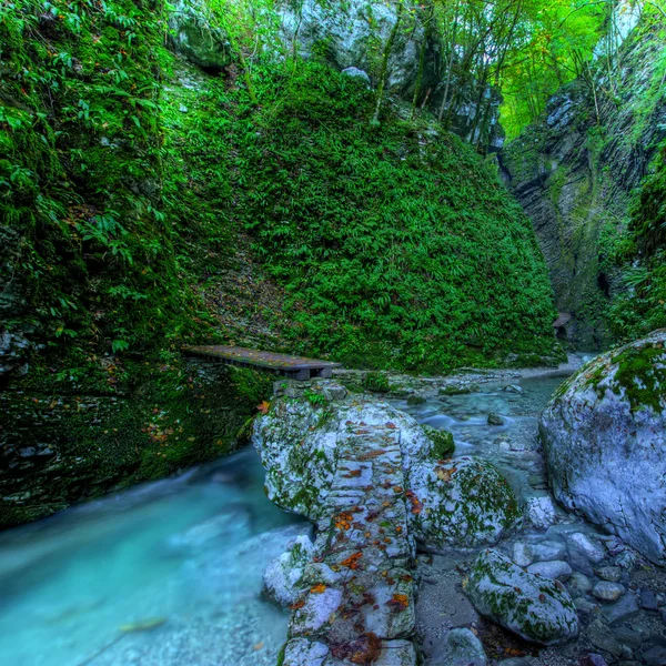 在狭窄的峡谷的峡谷-翡翠溪 — 图库照片