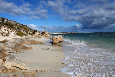 Rottnest island in Australia clipart