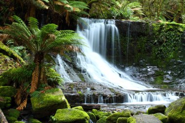 prachtige russel valt splash naar beneden in het mt veld nationaal park, Tasmanië,