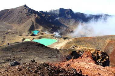 Tongariro Milli Parkı, Yeni Zelanda