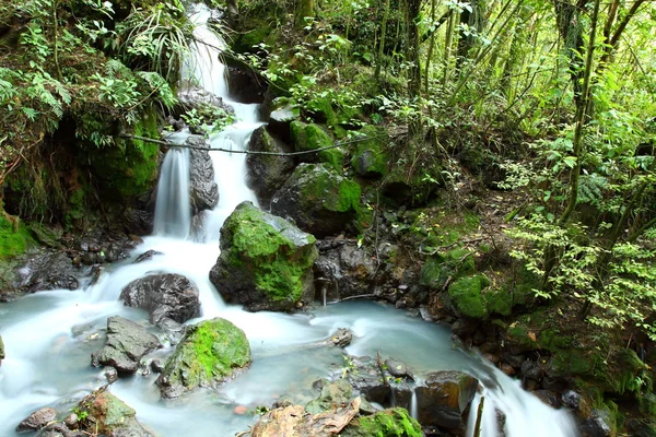 新西兰，汤加里罗国家公园 — 图库照片
