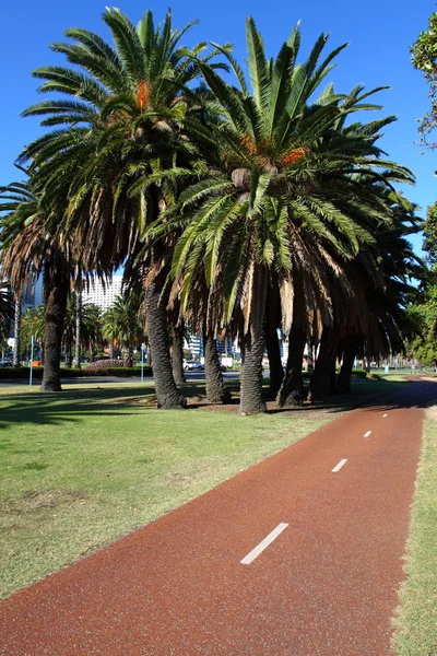 Perth, Avustralya 'da bisiklet yolu — Stok fotoğraf