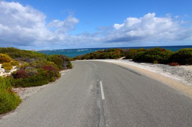 Rottnest island in Australia clipart