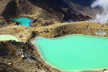 Tongariro Milli Parkı, Yeni Zelanda