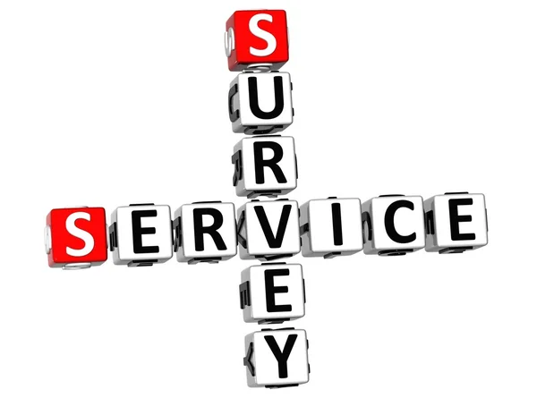 3D Survey Service Crossword — Stock Photo, Image