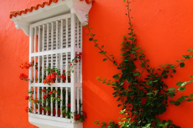 çiçekli balkon. İspanyol sömürge ev. Cartagena de Indias, Kolombiya.