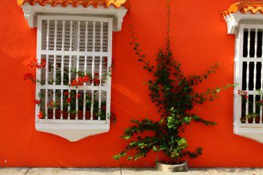 çiçekli balkon. İspanyol sömürge ev. Cartagena de Indias, Kolombiya.