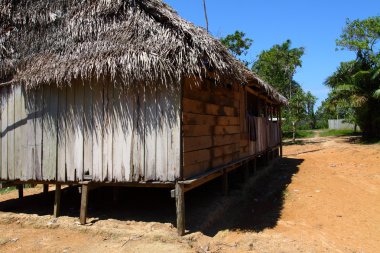 Perulu amazon Hintli bir topluluk evde