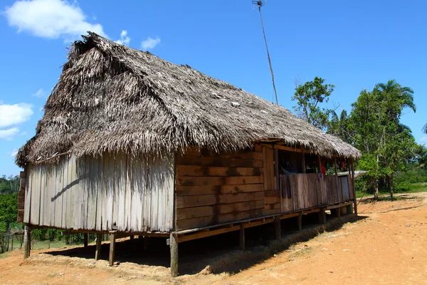 Hus i en indisk gemenskap i peruanska Amazonas — Stockfoto