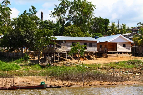 Orilla del río Amazonas — Foto de Stock