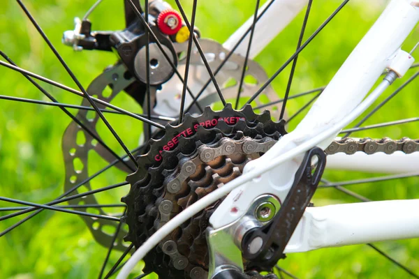 Wyścigi rowerów kasety na kole z łańcucha tylnego — Zdjęcie stockowe