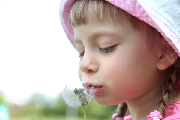 Όμορφο κοριτσάκι σε έναν χορτοτάπητα με πικραλίδες — Φωτογραφία Αρχείου
