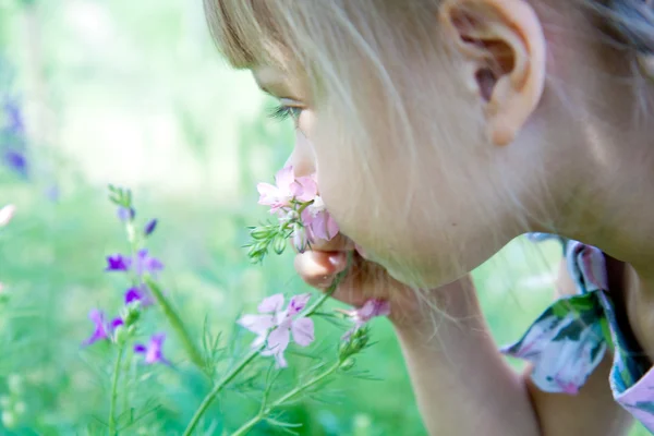 Little girl is smelling the blooming flowers. — Stock Photo, Image