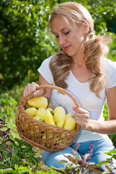 Mujer joven sosteniendo verduras en el jardín —  Fotos de Stock