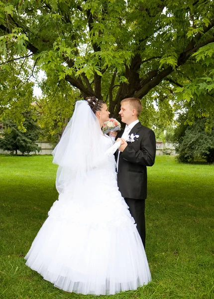 Happy bride and groom on wedding day — Stock Photo, Image