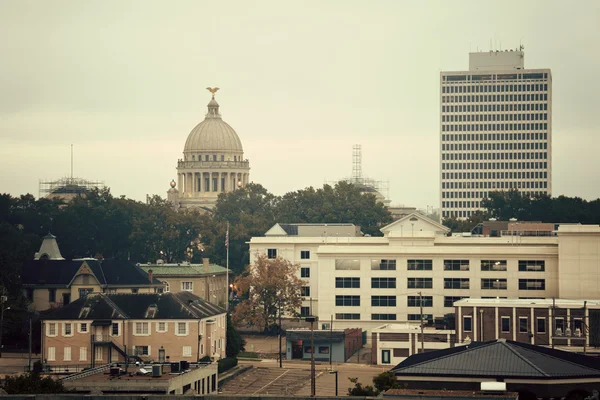 杰克逊，密西西比州-复古全景 — 图库照片