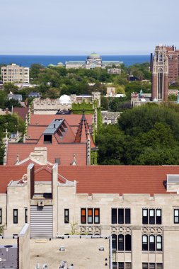 University of Chicago campus aerial photo clipart