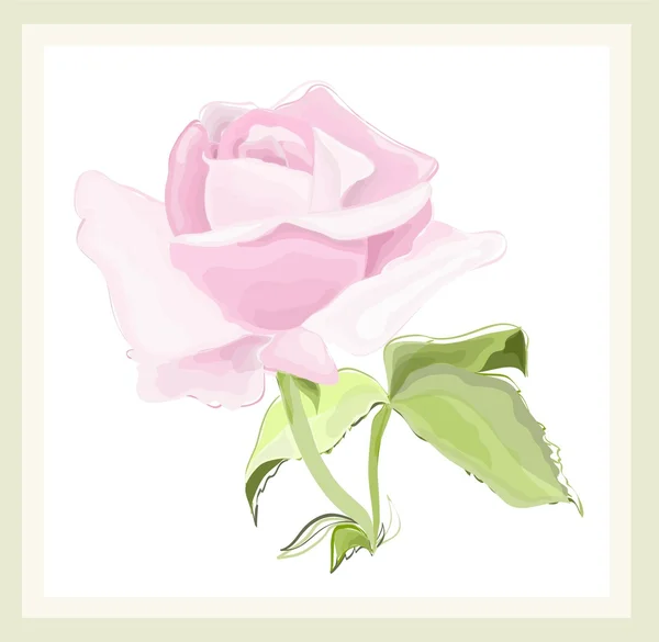 Cartão de saudação com rosa. Ilustração rosas . — Vetor de Stock