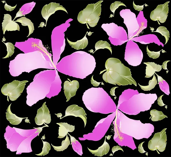 Fond sans couture Illustration hibiscus . — Image vectorielle