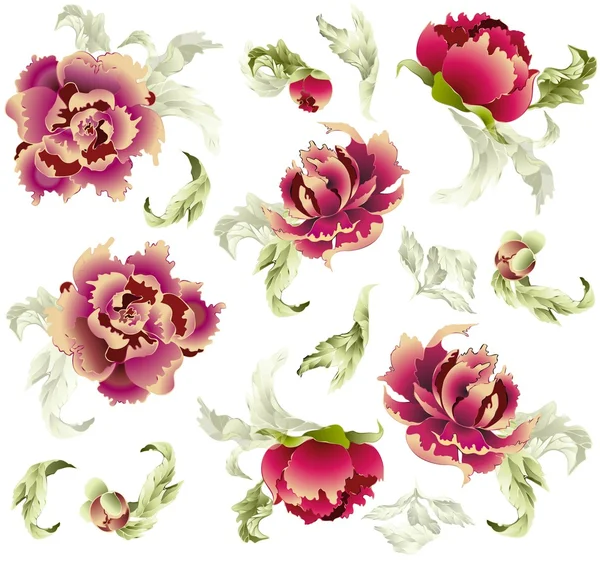 Fondo sin costuras de un ornamento de flores, papel pintado moderno de moda — Archivo Imágenes Vectoriales