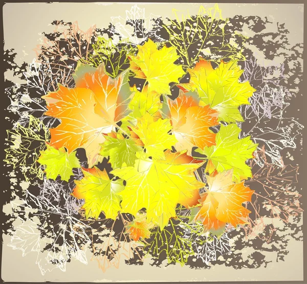 Carte de vœux avec feuilles d'érable . — Image vectorielle
