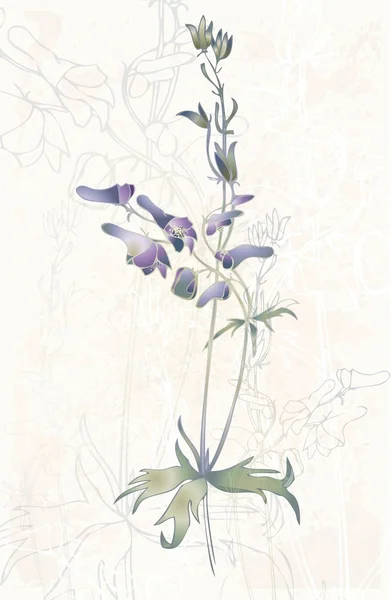 Üdvözlés kártya-val vad flower.illustration vad virág. — Stock Vector