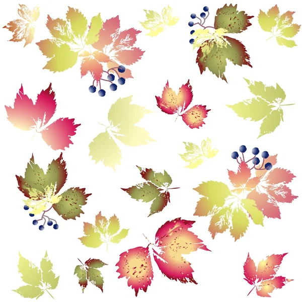 Naadloze background.illustration wilde druiven. herfst achtergrond. — Stockvector