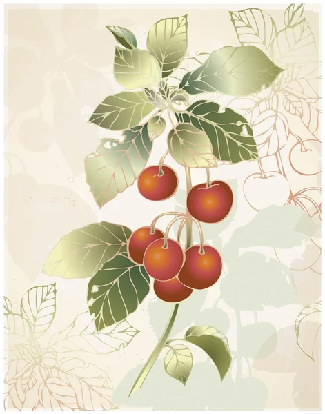Tarjeta de felicitación con cereza . — Archivo Imágenes Vectoriales