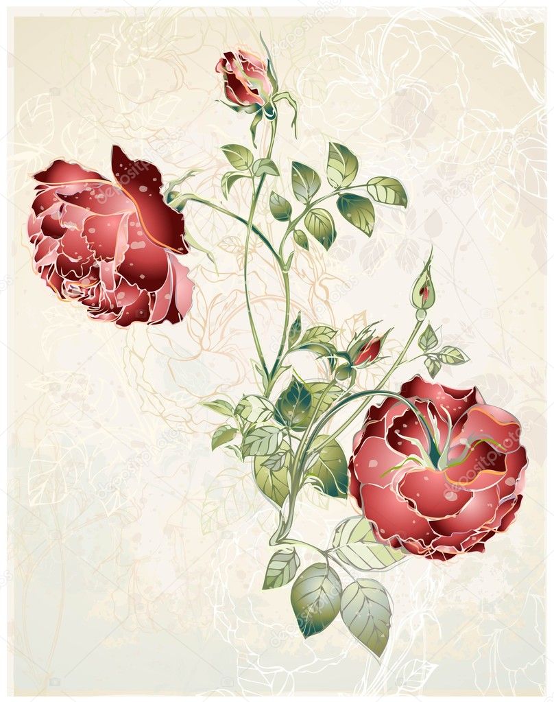 Greeting card with rose. Illustration roses.