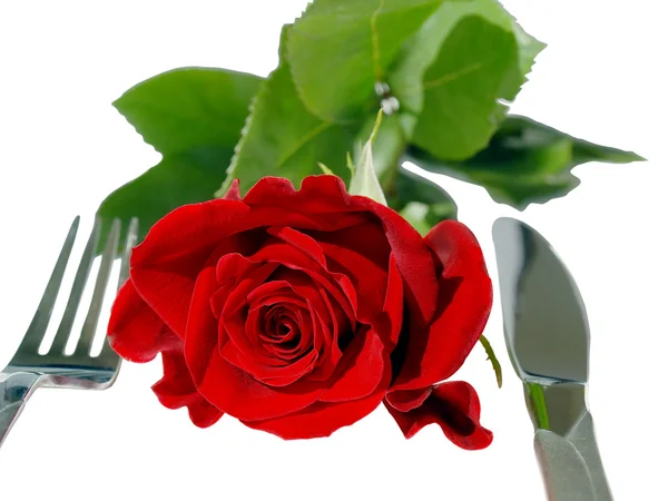 Rosa vermelha isolada na mesa — Fotografia de Stock