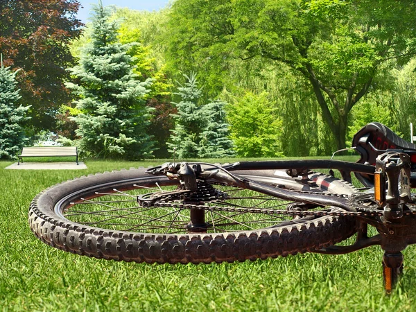 stock image Bike wheel