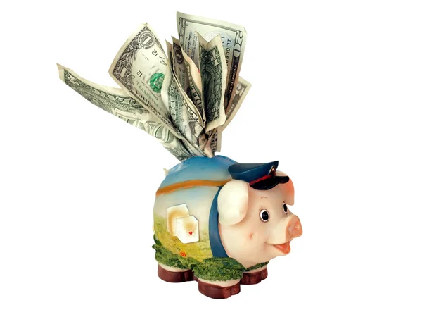 Funny piggy bank — Stock Photo, Image