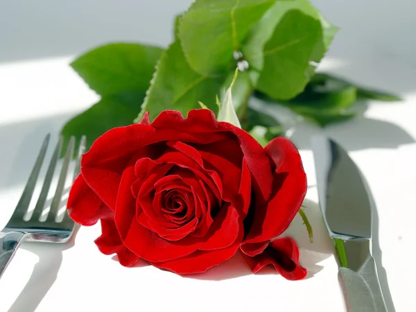 Rosa vermelha na mesa — Fotografia de Stock