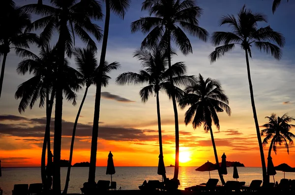 Kokospalmen am Sandstrand im tropischen Sonnenuntergang. Thailand — Stockfoto