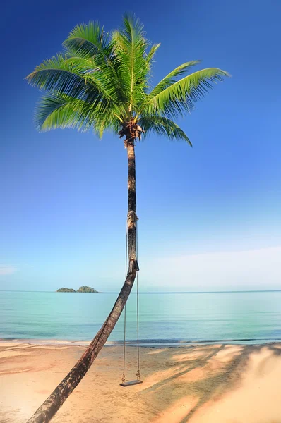 Tropisch strand met kokospalmen — Stockfoto