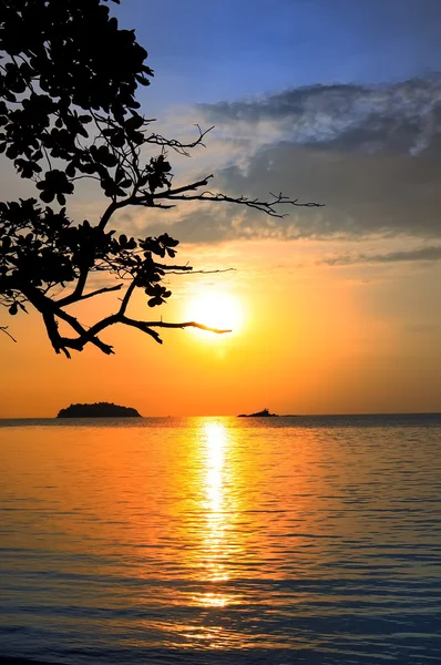 Tropical Sea Sunset — Stock Photo, Image