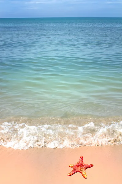 Starfish e onda oceânica na praia tropical arenosa — Fotografia de Stock
