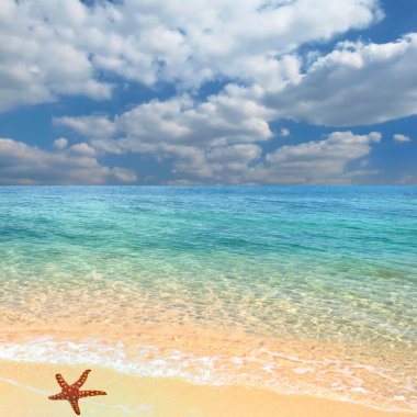 Beach and Starfish clipart