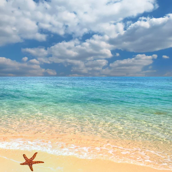 Spiaggia e stelle marine — Foto Stock
