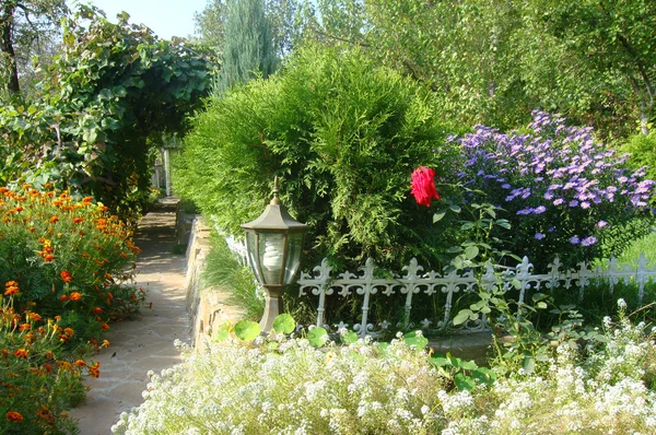 Piuttosto curato giardino fiorito — Foto Stock