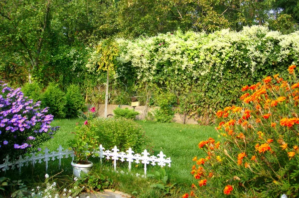 Joli jardin fleuri soigné — Photo