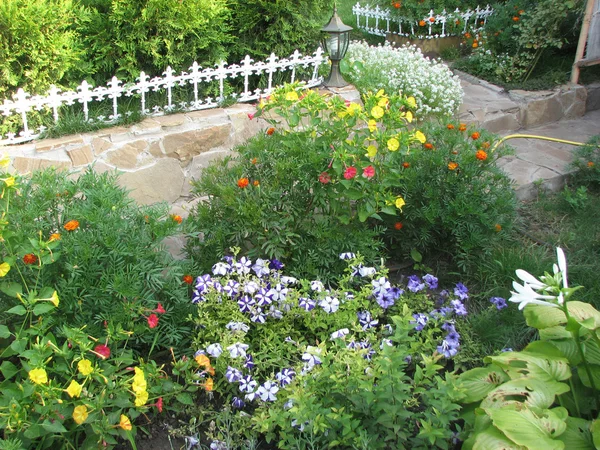 Parkosított virágos kert — Stock Fotó