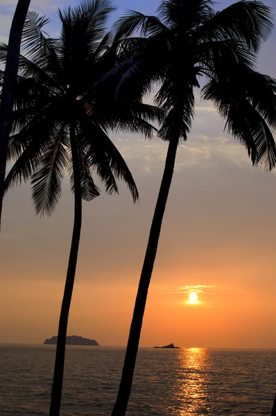 Tropiska färgglada sunset — Stockfoto