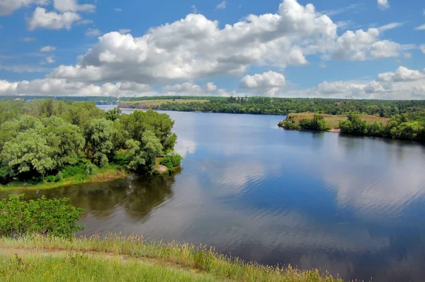 Summer landscape. Green trees reflected in the Dnieper river nea — Stock Photo, Image