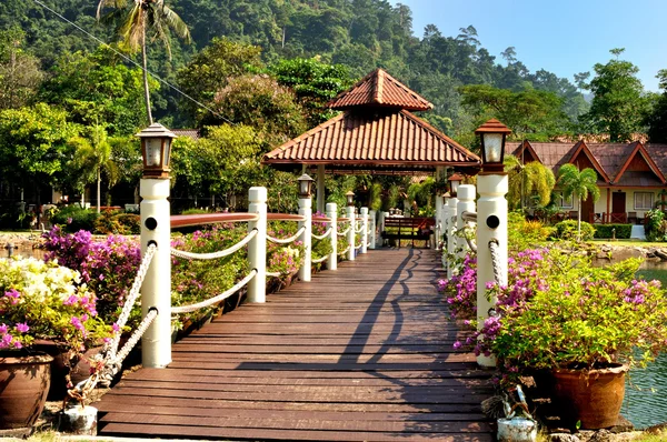 Puente de madera en un entorno de jardín tropical — Foto de Stock